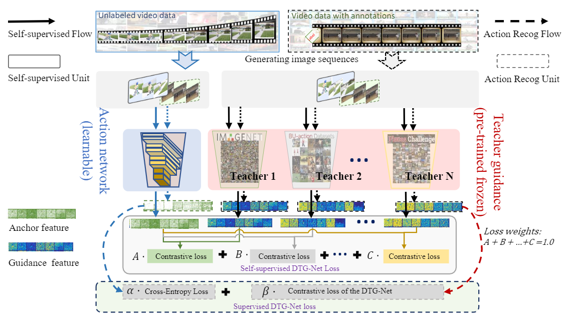 Teaser figure for DTG-Net: differentiated teachers guided self-supervised video action recognition